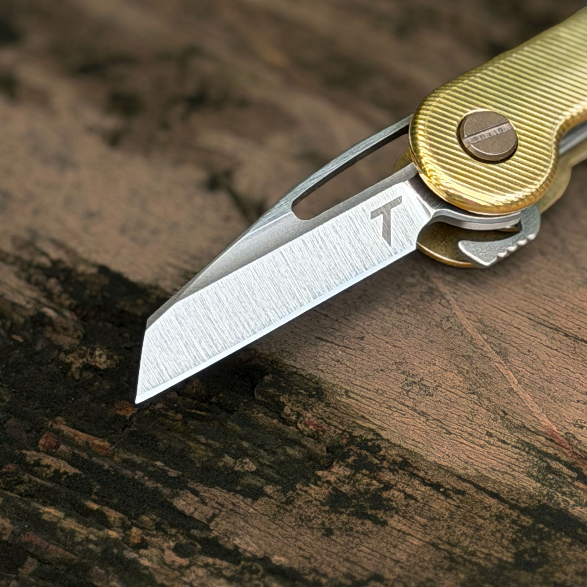 Wharnclaw Blade Insert